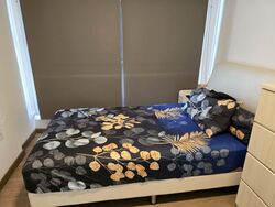 Blk 235A Garden Vines @ Tengah (Tengah), HDB 2 Rooms #595857951